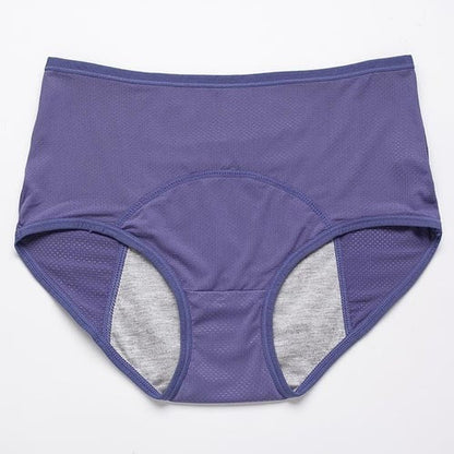 2025 UPGRADE HIGH WAIST LEAK PROOF PANTIES
